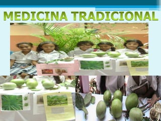 MEDICINA TRADICIONAL