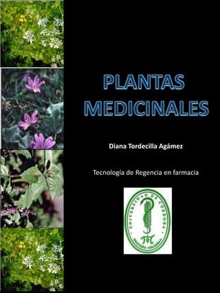 PLANTAS  MEDICINALES Diana TordecillaAgámez Tecnología de Regencia en farmacia 