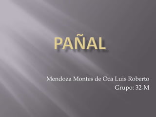 PAÑAL Mendoza Montes de Oca Luis Roberto Grupo: 32-M  