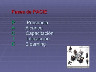 Fases de PACIE P   Presencia A   Alcance  C   Capacitación    I  Interacción  E  Elearning 
