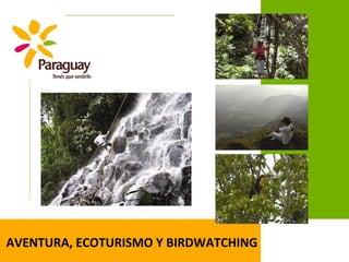 AVENTURA, ECOTURISMO Y BIRDWATCHING
 