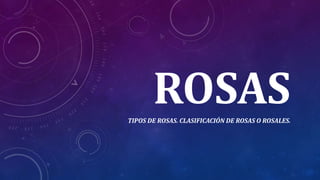 ROSASTIPOS DE ROSAS. CLASIFICACIÓN DE ROSAS O ROSALES.
 