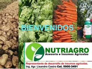 Representante de desarrollo de insumos agrícolas.
Ing. Agr. Lisandro Castro Cel. 5900-3491
BIENVENIDOS
 