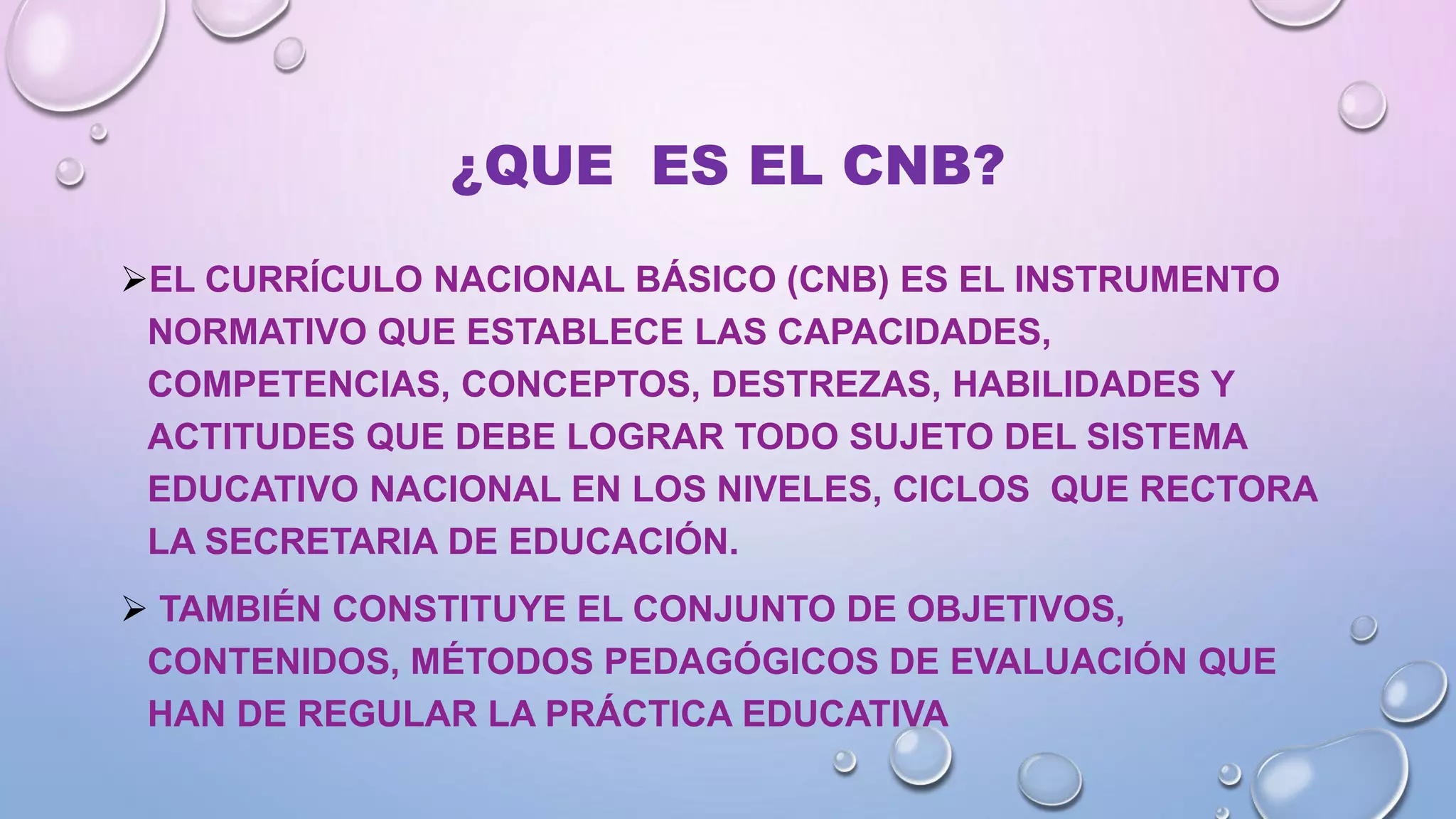 El CNB y sus herramientas de concrecion curricular en el área de CCNN ...