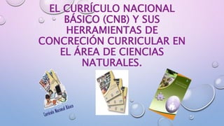 EL CURRÍCULO NACIONAL
BÁSICO (CNB) Y SUS
HERRAMIENTAS DE
CONCRECIÓN CURRICULAR EN
EL ÁREA DE CIENCIAS
NATURALES.
 