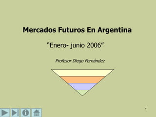 1
Mercados Futuros En Argentina
“Enero- junio 2006”
Profesor Diego Fernández
 