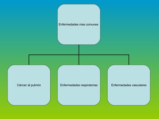 Enfermedades mas comunes Cáncer al pulmón Enfermedades respiratorias Enfermedades vasculares