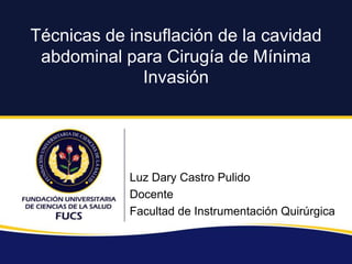 Técnicas de insuflación de la cavidad
abdominal para Cirugía de Mínima
Invasión
Luz Dary Castro Pulido
Docente
Facultad de Instrumentación Quirúrgica
 