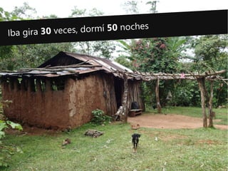 Iba gira 30 veces, dormí 50 noches
 