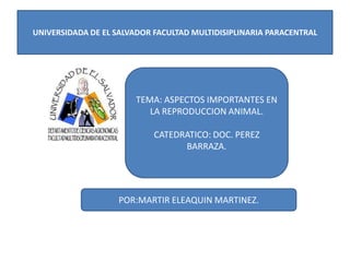 UNIVERSIDADA DE EL SALVADOR FACULTAD MULTIDISIPLINARIA PARACENTRAL

TEMA: ASPECTOS IMPORTANTES EN
LA REPRODUCCION ANIMAL.

CATEDRATICO: DOC. PEREZ
BARRAZA.

POR:MARTIR ELEAQUIN MARTINEZ.

 
