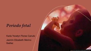 Periodo fetal
Karla Yocelyn Flores Canuto
Jazmín Elizabeth Merino
Ibañez
Esta foto de Autor desconocido se concede bajo licencia de CC BY.
 