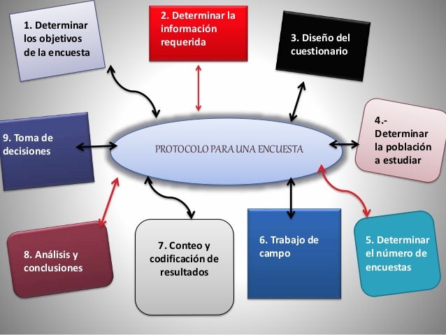 protocolo de investigación