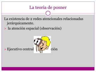Particularidades.Fuerza del estímulo.Fuerza relativa.El contraste entre los estímulos.La novedad de los objetos y fenómenos.Interés y necesidades el sujeto.