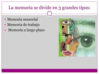 Ejecutivo central (introspecciónMemoria