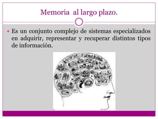 la memoria icónicaMemoria de trabajoEs el conjunto de símbolos activos en un momento determinado  a los que se están prestando atención y por este motivo se pueden manipular  bajo un control voluntario.