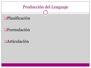 Procesos de codificación