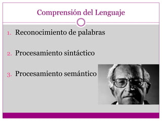 Permite al hombre la transmisión cultural o de conocimientos acumulados,