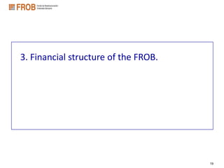 3. Financial structure of the FROB.




                                      19
 