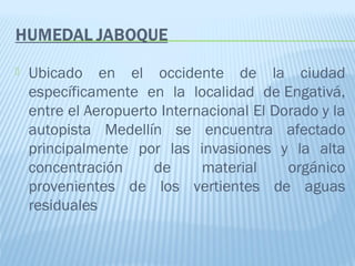  Ubicado en el occidente de la ciudad
específicamente en la localidad de Engativá,
entre el Aeropuerto Internacional El Dorado y la
autopista Medellín se encuentra afectado
principalmente por las invasiones y la alta
concentración de material orgánico
provenientes de los vertientes de aguas
residuales
 