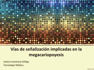 Vías de señalización implicadas en la
megacariopoyesis
Javiera Inostroza Zúñiga
Tecnología Médica

 
