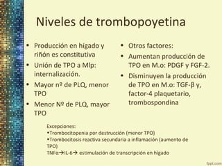 Niveles de trombopoyetina
• Producción en hígado y
riñón es constitutiva
• Unión de TPO a Mlp:
internalización.
• Mayor nº de PLQ, menor
TPO
• Menor Nº de PLQ, mayor
TPO

• Otros factores:
• Aumentan producción de
TPO en M.o: PDGF y FGF-2.
• Disminuyen la producción
de TPO en M.o: TGF-β y,
factor-4 plaquetario,
trombospondina

Excepciones:
•Trombocitopenia por destrucción (menor TPO)
•Trombocitosis reactiva secundaria a inflamación (aumento de
TPO)
TNFαIL-6 estimulación de transcripción en hígado

 