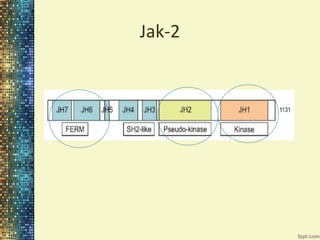 Jak-2

 