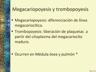 Megacariopoyesis y trombopoyesis
• Megacariopoyesis: diferenciación de línea
megacariocítica.
• Trombopoyesis: liberación de plaquetas a
partir del citoplasma del megacariocito
maduro.
• Ocurren en Médula ósea y pulmón *

 