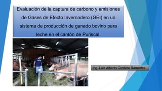 Evaluación de la captura de carbono y emisiones
de Gases de Efecto Invernadero (GEI) en un
sistema de producción de ganado bovino para
leche en el cantón de Puriscal.
Ing. Luis Alberto Cordero Barrantes
 