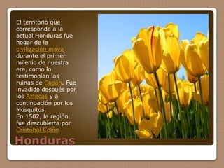 Honduras
El territorio que
corresponde a la
actual Honduras fue
hogar de la
civilización maya
durante el primer
milenio de nuestra
era, como lo
testimonian las
ruinas de Copán. Fue
invadido después por
los Aztecas y a
continuación por los
Mosquitos.
En 1502, la región
fue descubierta por
Cristóbal Colón
 