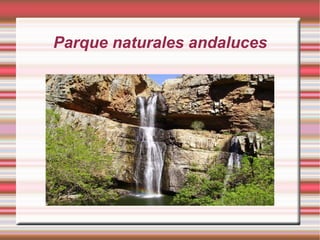 Parque naturales andaluces 