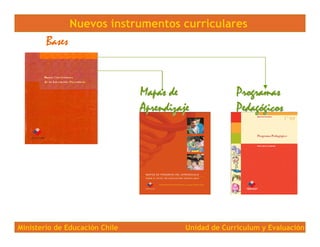 Nuevos instrumentos curriculares
        Bases


                                Mapas de                Programas
       ...