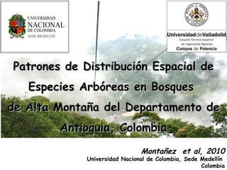 Patrones   de Distribución Espacial de Especies Arbóreas en Bosques  de Alta Montaña del Departamento de Antioquia, Colombia Montañez  et al, 2010 Universidad Nacional de Colombia, Sede Medellín  Colombia 