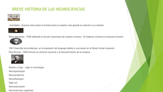 BREVE HISTORIA DE LAS NEUROCIENCIAS
Aristóteles .-Expone entre todos el hombre tiene el cerebro mas grande en relación a su tamaño .
Rene descartes .-1596 defendió la función mecanista del cerebro humano . El intelecto controla la conducta humana .
1861.Describe los problemas en la expresión del lenguaje debido a una lesión en el lóbulo frontal izquierdo .
Paul Brocas .-1980.formulo su doctrina neuronal y el descubrimiento de la sinapsis .
Ramon y Caja .- siglo xx neurología
Neuropsicología
Neuroanatomía
Neurofisiología
Siglo xxI
Neuroeducación
Neurociencias cognitivas
 
