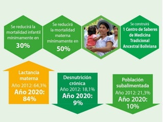 Presentacion pde metas