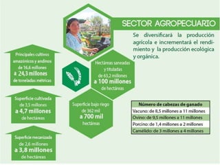 Presentacion pde metas