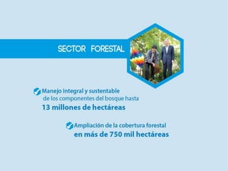 Presentacion pde metas