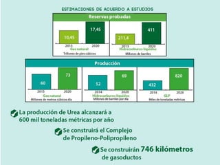 Presentacion pde metas