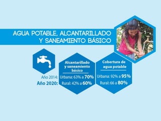 Presentacion pde metas