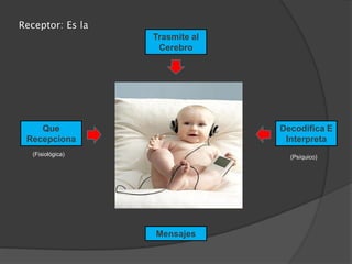 Receptor: Es la
                  Trasmite al
                   Cerebro




    Que                         Decodifica E
 Recepciona                      Interpreta
  (Fisiológica)                   (Psíquico)




                  Mensajes
 