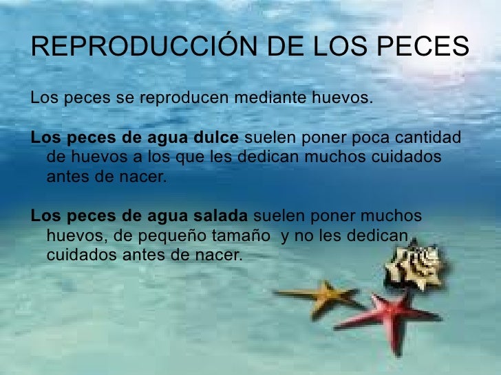Como librarse de las lamblias rápidamente y effectivamente