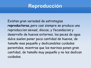 Reproducción Existen gran variedad de estrategias  reproductoras, pero casi siempre se produce una reproduccion sexual, diocos, y fecundacion y desarrollo de huevos externos, los peces de agua dulce suelen poner poca cantidad de huevos, de tamaño mas pequeño y dedicandoles cuidados parentales, mientras que los marinos ponen gran cantidad, de tamaño muy pequeño y no les dedican cuidados. 