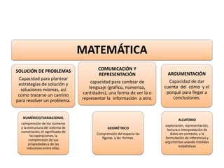 MATEMÁTICA
SOLUCIÓN DE PROBLEMAS
Capacidad para plantear
estrategias de solución y
soluciones mismas, así
como trazarse un camino
para resolver un problema.
NUMÉRICO/VARIACIONAL
comprensión de los números
y la estructura del sistema de
numeración; el significado de
las operaciones, la
comprensión de sus
propiedades y de las
relaciones entre ellas.
COMUNICACIÓN Y
REPRESENTACIÓN
capacidad para cambiar de
lenguaje (grafico, númerico,
cantidades), una forma de ver la o
representar la información a otra.
GEOMÉTRICO
Comprensión del espacio las
figuras y las formas.
ARGUMENTACIÓN
Capacidad de dar
cuenta del cómo y el
porqué para llegar a
conclusiones.
ALEATORIO
exploración, representación,
lectura e interpretación de
datos en contexto, y la
formulación de inferencias y
argumentos usando medidas
estadísticas
 