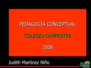 PEDAGOGÍA CONCEPTUAL   COLEGIO CAMPESTRE   2008 Judith Martínez Niño 