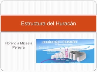 Estructura del Huracán

Florencia Micaela
Pereyra

 