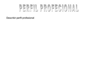 PERFIL PROFECIONAL Describir perfil profesional 