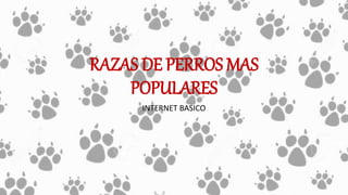RAZAS DE PERROS MAS
POPULARES
INTERNET BASICO
 