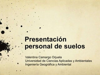Presentación
personal de suelos
Valentina Camargo Orjuela
Universidad de Ciencias Aplicadas y Ambientales
Ingeniería Geográfica y Ambiental
 