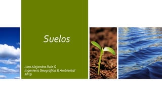 Suelos
Lina Alejandra Ruiz G
Ingeniería Geográfica & Ambiental
2019
 