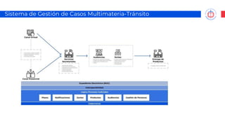 Sistema de Gestión de Casos Multimateria-Tránsito
 