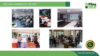 ESCUELA AMBIENTAL PILOSA
 